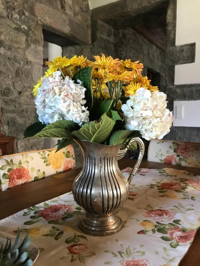 Charming Green Country House Nordestinho Esterno foto