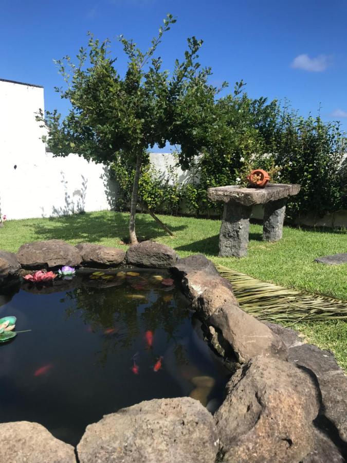Charming Green Country House Nordestinho Esterno foto